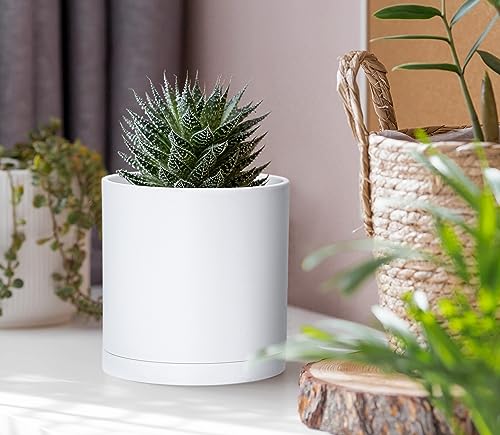 D'vine Dev 2 Pack 4 Inch Modern Plastic Plant Pots, Small Garden Planters for Plant with Drainage Holes and Saucers, White Color, 74-Z-E-1 - size: 4"