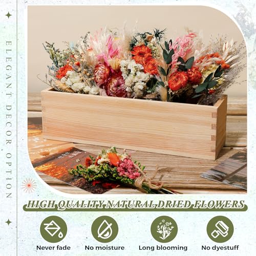 Layhit 12 Pcs Boho Dried Flower Bouquet Mini Wedding Handmade Dry Flowers Decor for Vase Crafts DIY Photo Boutonniere for Men Floral Plant for Bridesmaid Gift Birthday Decor(African Daisy) - style: Gerbera Daisy