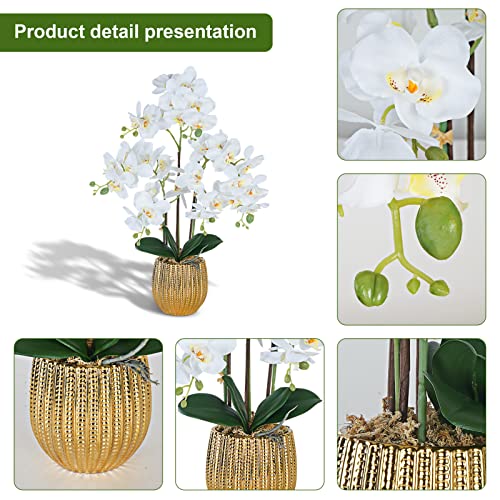 Ziwon Artificial Orchid Flowers & Plants Potted in Ceramic Pot, White Faux Phalaenopsis Orchids for Table Centerpiece, Realistic Fake Flower Arrangement for Home Office Decor Indoor - color: White & Gold 04