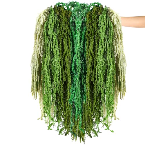 Suncalla 12 Pcs Multi Green Spring Natural Dried Amaranthus Hanging Flowers Amaranthus Artificial Flowers for Wedding Arch Bouquet Floral Garland Wall Home Decoration (23 Inch) - color: Multi Green