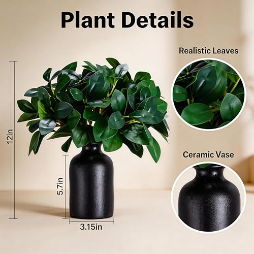 12 Inch Artificial Plant Indoor,Small Fake Plants Eucalyptus Stems With Vase,Faux Greenery In Pot For Farmhouse Home Decor,Bathroom Living Room Kitchen Office Coffee Table Centerpiece (Black) - color: Black