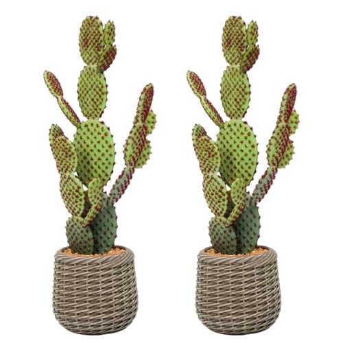 Artificial Cactus Plant Outdoor, 28” Big Fake Cacti Plants with Realistic Prickly Pear in Brown Pot, Faux Floor Plant Indoor for Home Living Room Foyer Porch Balcony Garden 2PCS