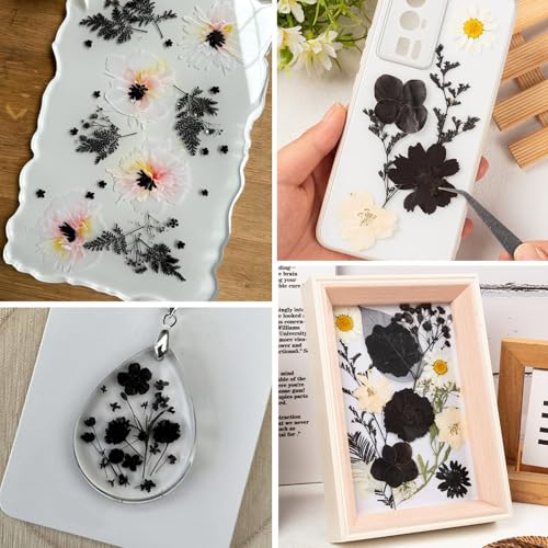 78 Pcs Black and White Dried Pressed Flowers with Tweezer, Halloween Themed Real Dried Flowers Leaves for DIY Crafts Resin Molds, Dried Flowers for Autumn Halloween Decorations - size: Black