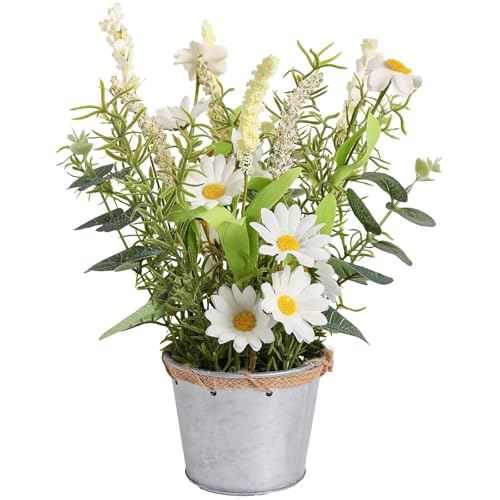 Artificial Flowers Potted, 12.2'’ Small Flower Arrangement with White Daisy Lavender in Metal Pot, Fake Floral Centerpieces for Tables Spring Summer All Season Home Indoor Decaorations - color: Cream 01