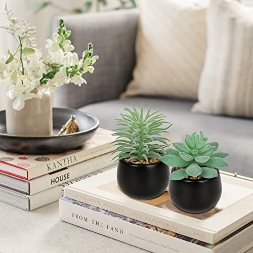 Briful 3PCS Artificial Succulents Fake Plants Mini Succulents Potted in Black Ceramic Pots Artificial Plastic Plants for Home Office Desk Farmhouse Bathroom Décor - color: Type #2