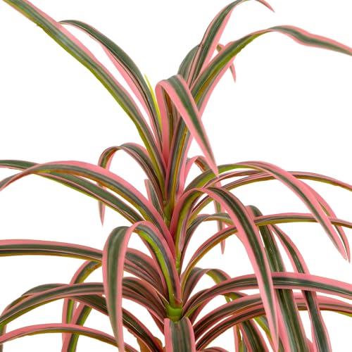 Nearly Natural 2ft. Artificial Dracaena Marginata Plant