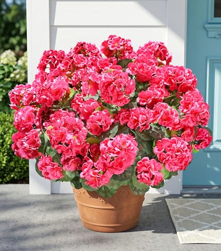 Fake Geraniums Artificial Flowers for Outdoors Outside, 6 Bundles Silk Geraniums Fake Flowers Plants Realistic UV Resistant Faux Flowers for Outdoor Planters Garden Balcony Yard Porch Indoor, Hot Pink - color: Hot Pink
