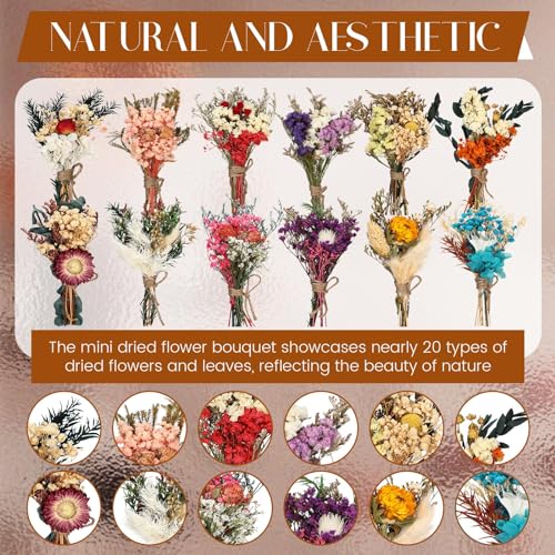 Layhit 24 Pcs Boho Dried Flower Bouquet Mini Wedding Handmade Dry Flowers Decor for Vase Crafts DIY Photo Boutonniere for Men Floral Plant for Bridesmaid Gift Birthday Decor(Colorful) - style: Colorful