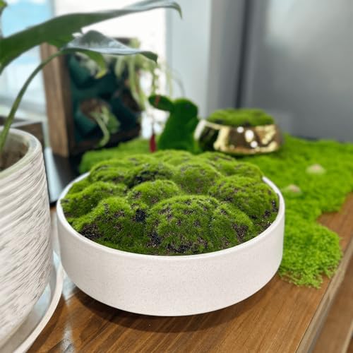 NAHARO New Moss Bowl, Handmade Ceramic Bowl. 11" Artificial Moss Centerpiece for Home Decoration, Living Room, Office - color: White