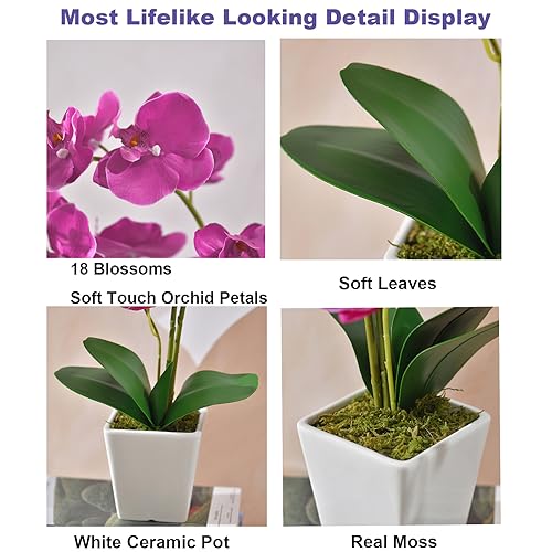 Faux Orchid in Vase Artificial Orchid in Ceramic Vase Tall Silk Orchids with Stems Real Look Potted Phalaenopsis Flowers Arrangement Centerpiece Table Decorations for Home Decor Indoor, Fuchsia - color: Y-fuchsia