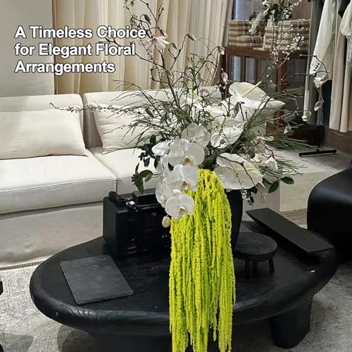 5Pcs Dried Amaranthus Hanging Flowers, 23" Neon Lime Green Preserved Wisteria for Wedding Arch, Fall Thanksgiving, Table Centerpiece, Wall Hanging Lover Tears, Floral Arrangement, Farmhouse Décor