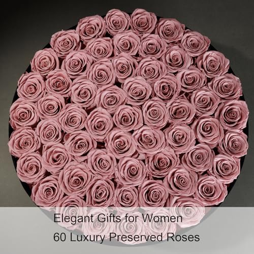 Gifts for Women – NATROSES 60 Preserved Roses in Luxury Black Velvet Box, Preserved Flowers for Delivery Gift for Her, Elegant Rose for Birthday, Mother’s Day, Christmas (Dusty Rose) - color: Dusty Rose, size: 60 Roses