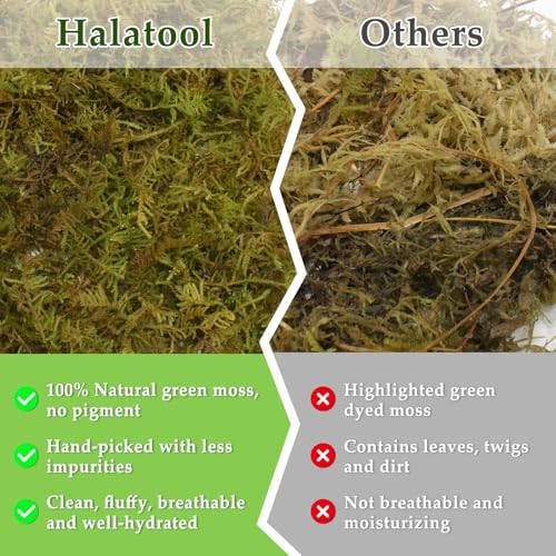 Halatool 5OZ Sphagnum Moss for Reptiles- 8QT Reptile Moss Bedding for Snake Tortoise Gecko Lizard Hermit Crab, Terrarium Humidity Retention - size: 5OZ