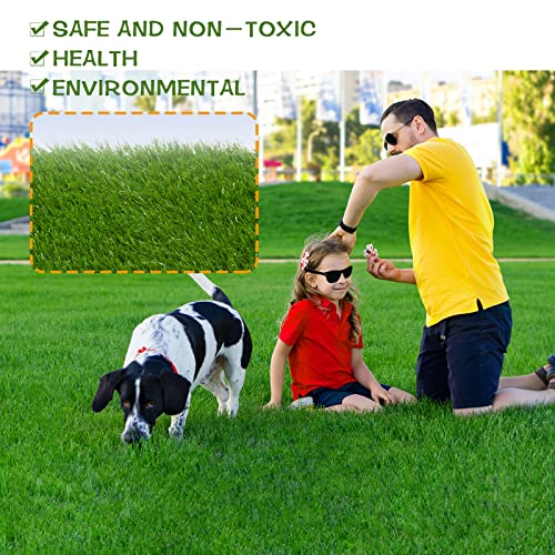 Heyroll Artificial Grass Thick Turf Rug 3 ft x 11 ft, 35MM Outdoor Indoor Fake Grass Mat, Astro Turf Lawn for Dogs Pets, Synthetic Grass Rug with Drainage Holes & Rubber Backing/Custom Size - size: 3x11FT