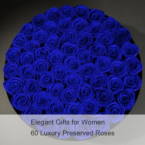 Gifts for Women – NATROSES 60 Preserved Roses in Luxury Black Velvet Box, Preserved Flowers for Delivery Gift for Her, Elegant Rose for Birthday, Mother’s Day, Christmas (Royal Blue) - color: Royal Blue, size: 60 Roses