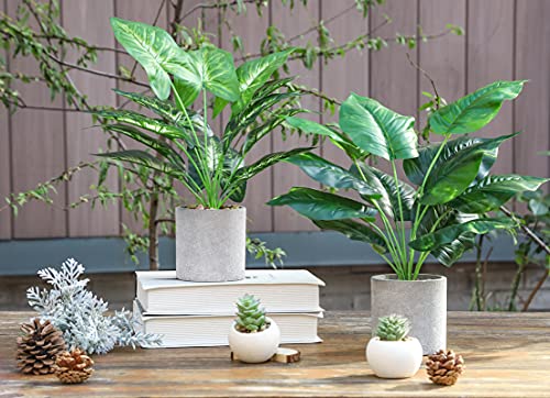 Der Rose Bundle of 2pcs 16" Fake Plants Artificial Plants and Set of 2 Fake Succulent Plants for Farmhouse Bathroom Kitchen Office Home Decor Indoor