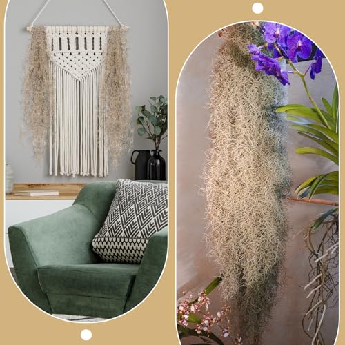 Giegxin Spanish Moss 41'' Fake Hanging Succulents Faux Moss Artificial Succulent Plants Vines Hanging Plants Swamp Decoration Potted Artificial Garland(Brown,12 Pack) - color: Brown