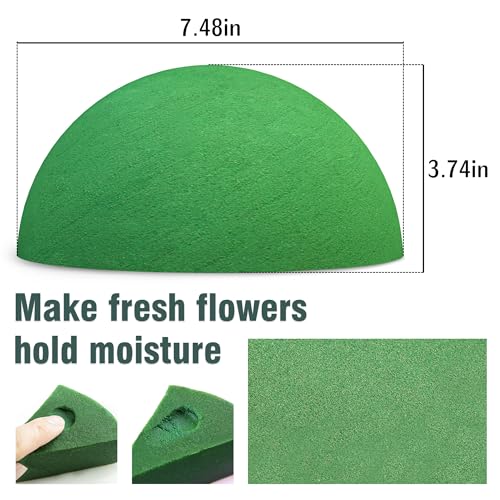 Max Shape Floral Foam Half Ball 7.48" for Floral Arrangements, Round Floral Foam Half Balls Green, Wet Flower Foam for Fresh Flowers - size: 7.48'