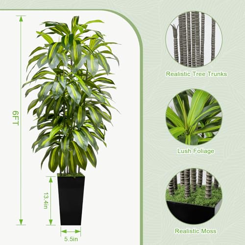 6FT Artificial Dracaena Tree Indoor Fake Tree Tall Plant with Black Planter Faux Plants Indoor Living Room Artificial Plants Indoor Decor Large Fake Plant - color: Black, size: 6ft