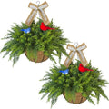Artificial Hanging Plant Flower Baskets Set of 2, Faux Ferns with Birds and Linen Bows, Fake Planters Hanging with 24 Pcs Cypress Leaves, UV Resistant for Spring Summer Outdoor Porch Garden - color: Green