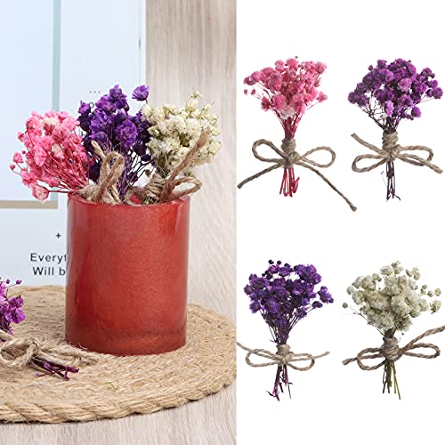 8Pcs Mini Gypsophila Bouquets Natural Gypsophila Dried Flowers Bouquet Dry Flower&Leaves Lagurus Dried Embossing Flower Bundles Plant Stem Bunch for DIY Craft,Photo Props,Party,Wedding Card Decoration - color: Type1