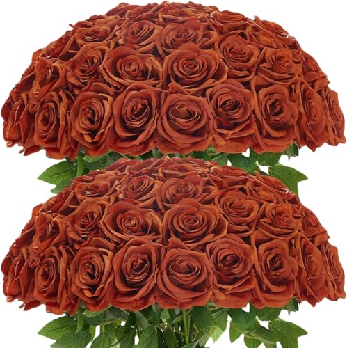 100 Pcs Burnt Orange Roses Artificial Flowers in Bulk, Long Stem Artificial Flower Bouquet, Silk Fake Rose for Wedding Party Table Centerpieces Decor Valentines Gifts - color: Burntorange