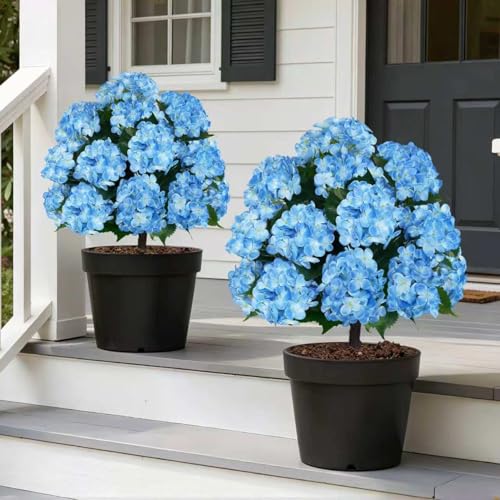Grooy Artificial Topiary Ball Tree with Blue Hydrangea, Set of 2 UV Resistant Shrubs with Ground Spike, Fake Evergreen Plant Decor for Porch Garden Indoor Outdoor - color: Blue Hydrangea