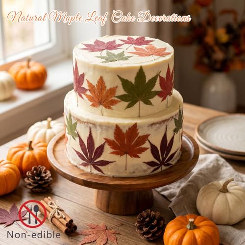 48 Pcs Dried Pressed Fall Maple Leaf for Cake Decorating, Seasonal Decor, Natural Dried Leaves Herbs kit for Resin Jewelry Making Soap and Candle Making (Maple Leaf) - color: Maple Leaf