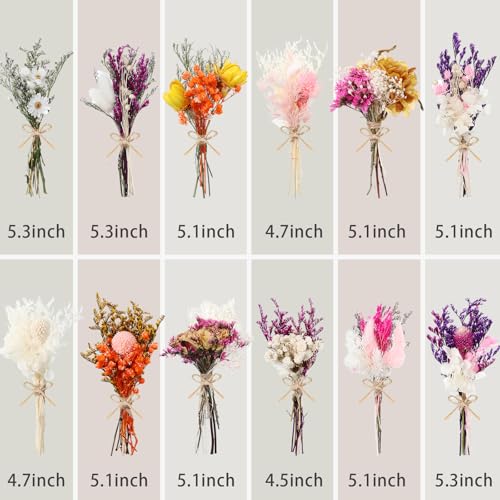 10/12/24 Pack Dried Flowers for Vase Various Mini Bouquet Dried Small Wildflowers Natural Real Flowers Bulk for Crafts DIY Wedding Decor (12, Flowers Blooming1) - size: Flowers Blooming1
