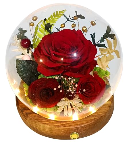 Valley of Rain & Forest Long-Lasting Real Flowers, Unique Floral Gift for You to Send Love for All Occasions, for Indoor Decoration (Dark Red Rose Arrangement) - color: Dark Red Rose