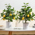Giegxin 2 Pcs Artificial Lemon Tree 15.7 Inches Fake Artificial Potted Plants Faux Lemon Citrus Tree with Pot Faux Plants Indoor for Home Kitchen Office Living Room Table Desk (White Pot) - color: White Pot