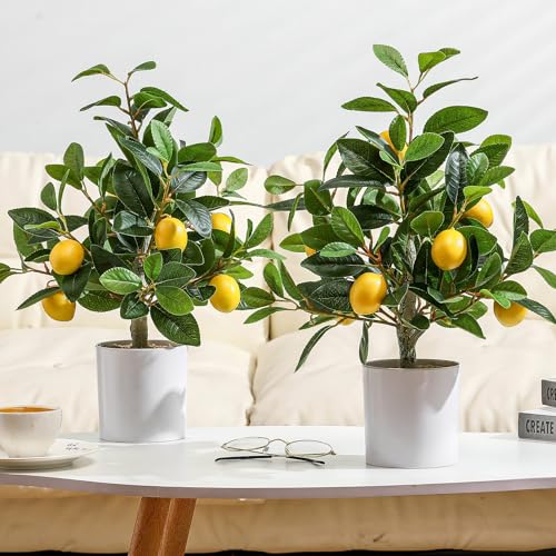 Giegxin 2 Pcs Artificial Lemon Tree 15.7 Inches Fake Artificial Potted Plants Faux Lemon Citrus Tree with Pot Faux Plants Indoor for Home Kitchen Office Living Room Table Desk (White Pot) - color: White Pot