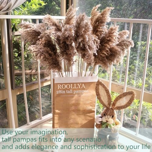 20 Stems 28" Large Brown Pampas Grass - Natural Fluffy Pompas Grass Bulk for Floor Vase - Boho Decor Home Wedding Event Decor, Gift - size: 20pcs brown
