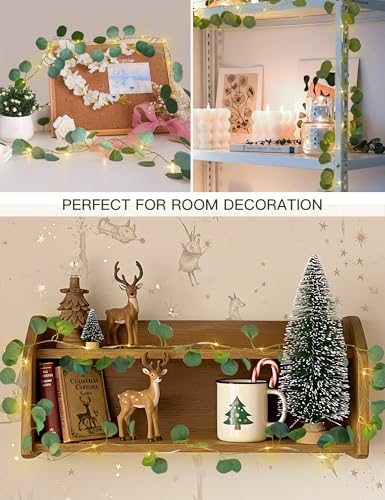 suddus Fake Vines with Lights Battery Operated, 20 LED 6.56FT Eucalyptus Garland Fairy Lights with Timer, Leaf String Lights for Bedroom,Room,Window,Wall,Party,Garden,Wedding Indoor Decor (Warm White) - color: Eucalyptus, size: 20 LED-Copper Wire Battery-