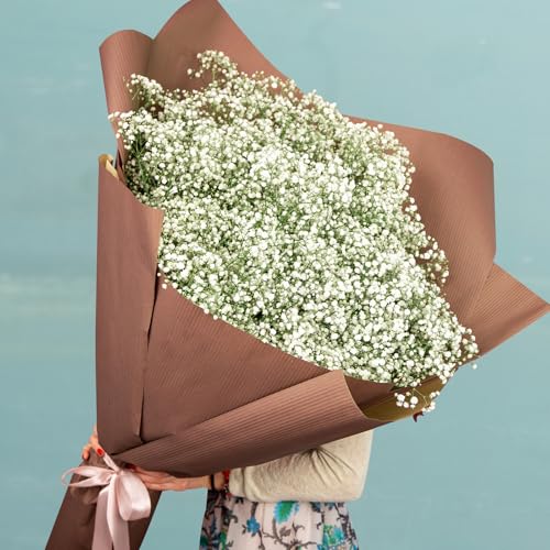 380 Pcs Baby Breath Artificial Flowers Fake White Baby Breath Flower Artificial Bulk Real Touch Faux Gypsophila Bouquet for Wedding Floral Arrangement Centerpieces Table Decoration - size: 380 PCS