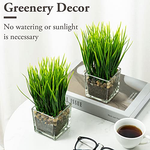 MyGift Artificial Grass Plants in Modern Square Clear Glass Pots with Faux Pebbles and Soil, Decorative Potted Greenery Plant in Tabletop Planter, Set of 2 - color: Clear (Square)
