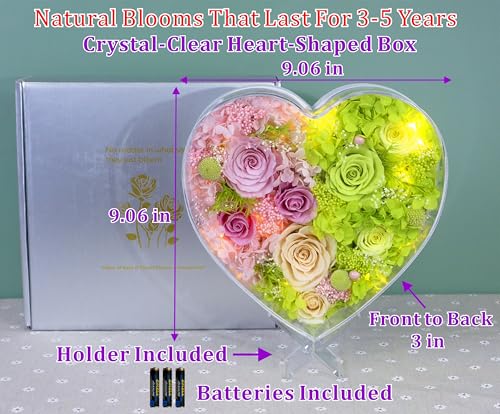 Valley of Rain & Forest Long-Lasting Real Flowers With Delivery | "Sweet" Preserved Floral Gift With Lights For You to Send Love, Romantic Home Decor (Forever Pink & Green Roses Arrangement) - color: Pink & Green Roses Arrangement