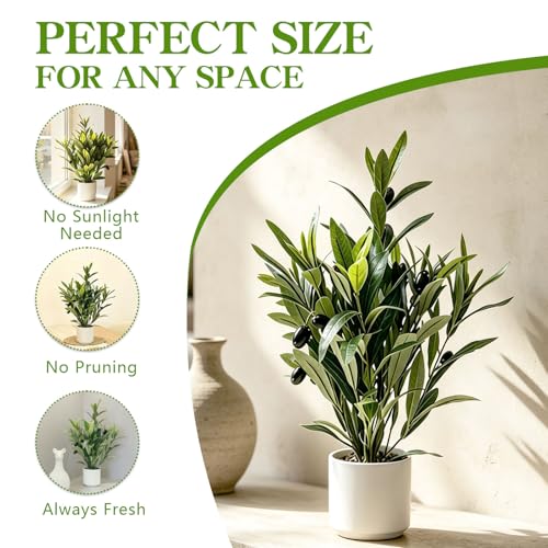 2 Pcs Artificial Olive Potted Plants, 16" Faux Greenery with Pot, Fake Green Plants Olive Stems Tables Centerpiece for Desk Shelf Cabinet Bedroom Livingroom Kitchen Indoor Home Decor - color: Potted Olive-2p