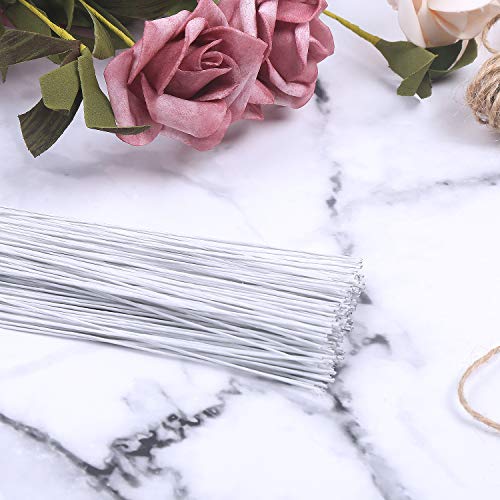 CCINEE 22 Gauge White Floral Wire Stem for Flower Arrangement Craft Supply,16 Inch,150PCS - color: #22 White