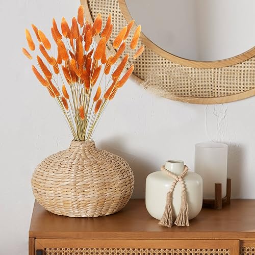 Dried Bunny Tails Flowers Lagurus Ovatus Orange Pampas Grass Natural Dried Floral Arrangement Dry Flowers for Halloween Christmas Boho Decor Home Wedding DIY Craft Decoration - color: Orange