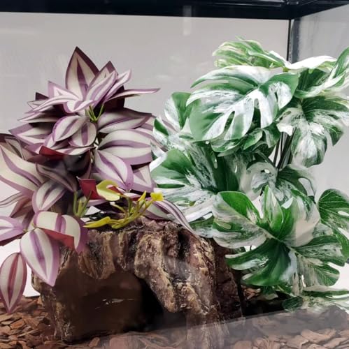 2Pack Reptile Fake Plants for Terrarium, Amphibian Habitat Decor Artificial Hanging Plants with Suction Cup, Artificial Leaves for Snake Tank Accessories.-Zebrina Purple - color: Zebrina