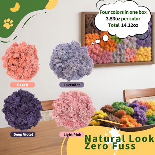Preserved Reindeer Moss, Natural Decorative for Home Decor, DIY Crafts, Moss Wall Art, Terrariums, Floral Arrangements, Wedding & Holiday Decorations, Total 14oz (Rosy Meadow) - color: Rosy Meadow