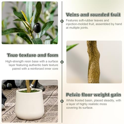 6ft Faux Olive Tree with White Pot & Moss, Artificial Olive Tree Indoor Outdoor, PE/PVC Leaves, Realistic Resin Trunk Large Fake Olive Tree Artificial Plants Indoor, Faux Plants Indoor for Home Decor - size: 6ft