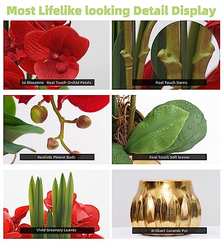 CXGS Artificial Orchid Flower Real Touch Faux Orchids in Ceramic Vase Large 22.9'' Fake Flowers Red Phalaenopsis Floral for Home Indoor Decor - color: Red- Golden (Large Pot)