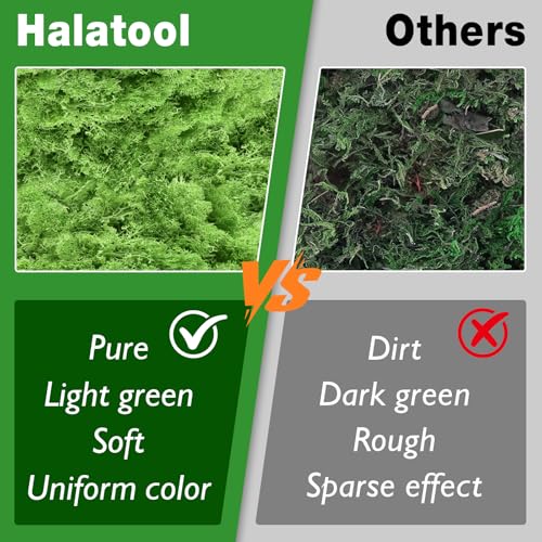 Halatool Preserved Moss for Crafts, Green Reindeer Moss for DIY Decorating Art Potted Fairy Garden Accessories Table Centerpieces Wedding Christmas Fairy Party Decor(1.1 LB)