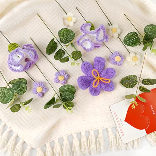 Tenn Well Crochet Flower Bouquet, Crochet Knitted Carnation Gift Artificial Flowers for Mother’s Day, Birthday, Graduation, Anniversary and Home Decor - color: Purple