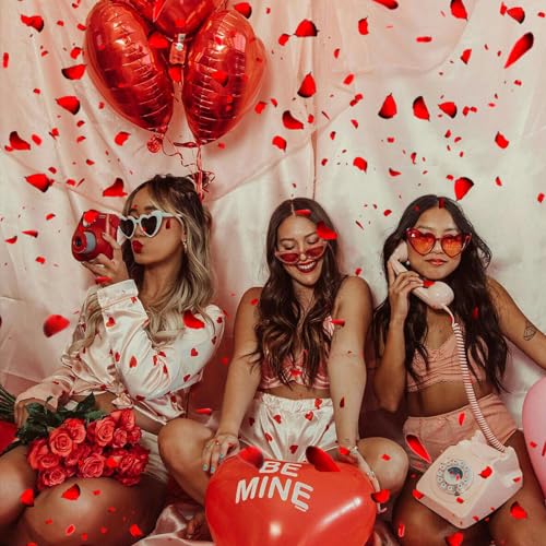 Grever 1000 Pieces Mother's Day Red and Black Artificial Silk Rose Petals Faux Flowers for Wedding Valentines Proposal Anniversary and Romantic Party Decoration (Red and Black) - color: Red and Black