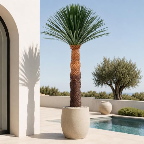 8.6FT Artificial Agave Plant in Black Pot, 103 Inch Tall Faux Agave with Removable White Coating, Fake Floor Plant for Indoor Outdoor Front Porch Patio Home Office Hotel Desert Style Decor - color: Agave Plant 103in