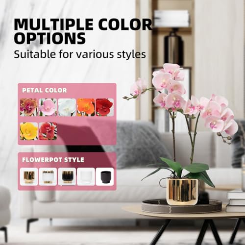 CXGS Orchids Artificial Flowers Real Touch Fake Flowers in Ceramic Pot 20" Pink Faux Orchid Plant Lifelike Silk Phalaenopsis for Centerpiece Hotel Home Indoor Decor - color: Pink- Gold Vase