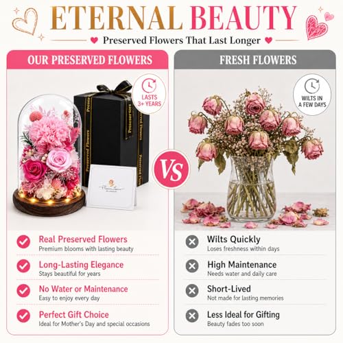 Preserved Flowers in Glass, Preserved Rose with 1 Carnation & 2 Pink Roses Luxury Eternal Flower Gift for Grandma Wife Her Forever Flowers for Anniversary Birthday Lasts 3-5 Years - color: Pink